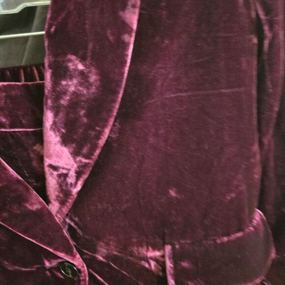 Banana Republic Sour Cherry Velvet Blazer Hayden Pull On Pants Size 2/M - Picture 9 of 15